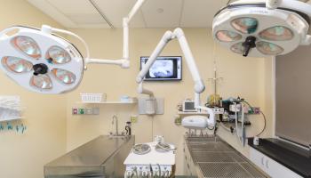 Dentistry & Oral Surgery Operatory