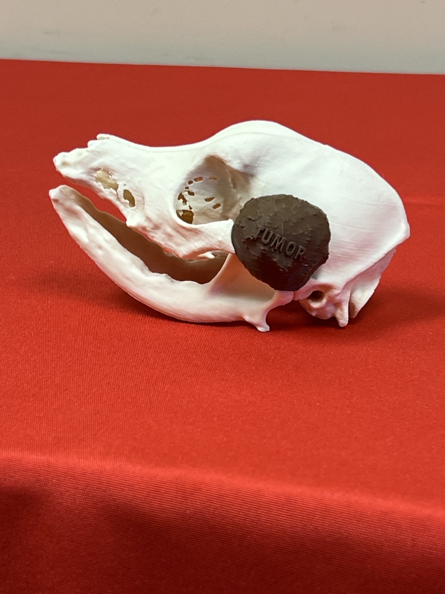 3D model side view