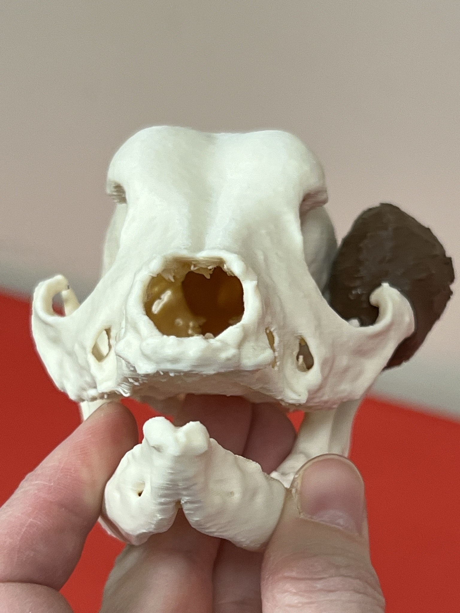 front view of 3d model