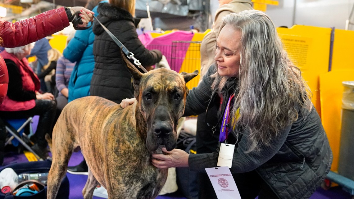 Dr. Mazzaferro at Westminster