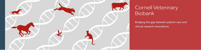 Biobank Banner