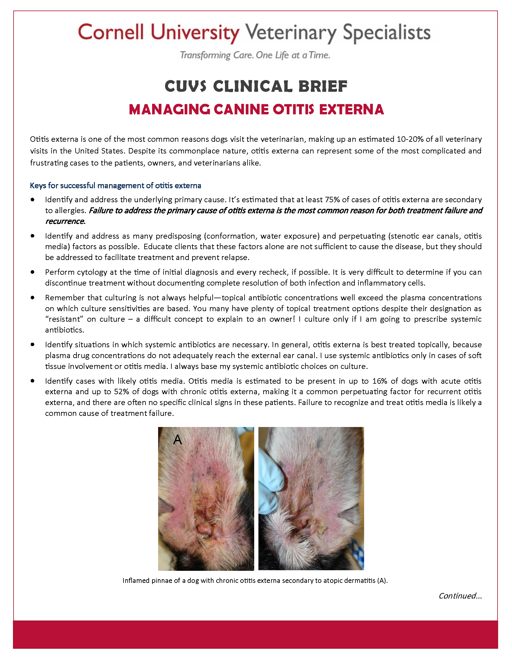 Otitis Externa