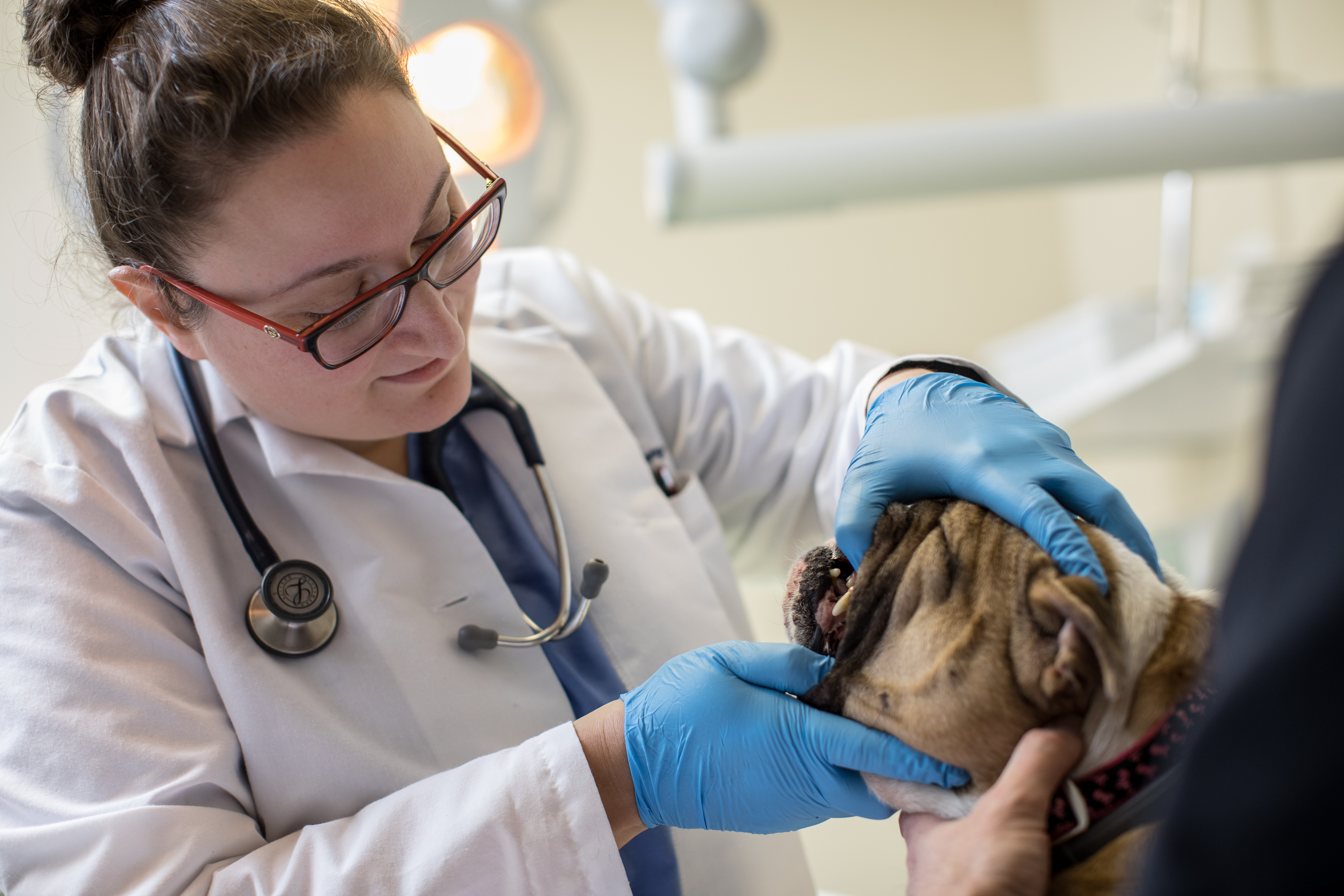 Dr. Fink with a patient