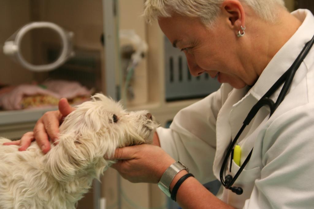 Dr. Hackner with a dog