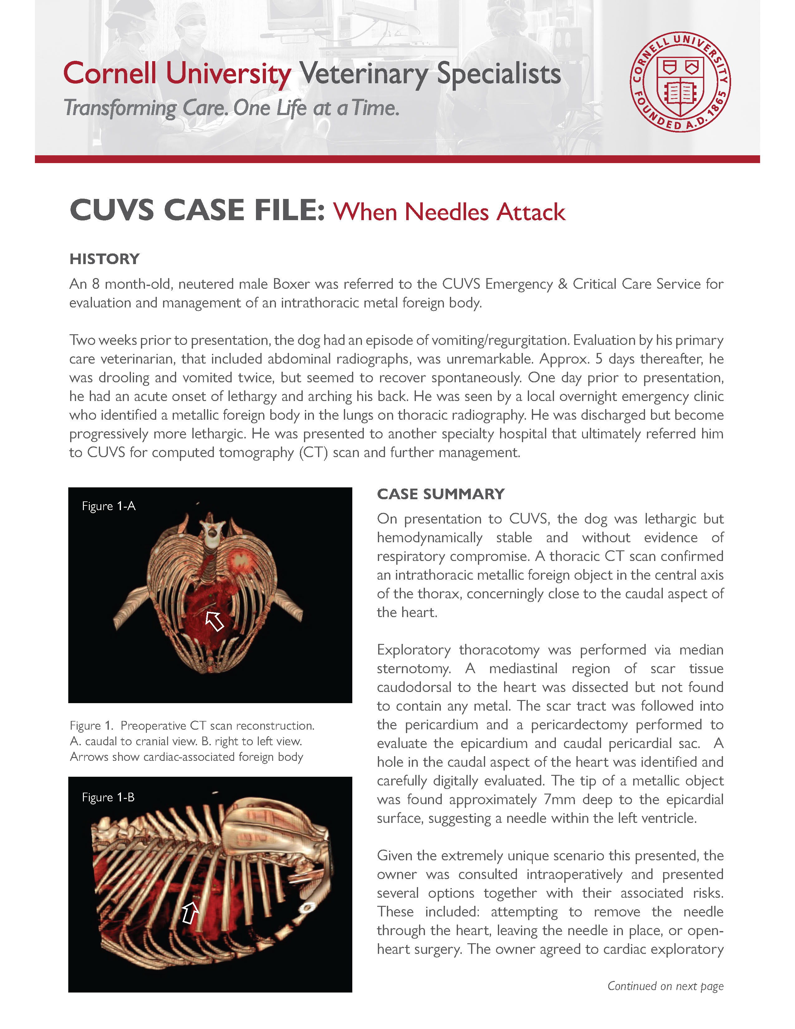 When Needles Attack Case File