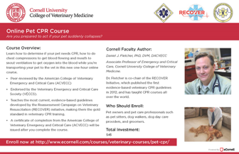 Online Pet CPR Course screen shot