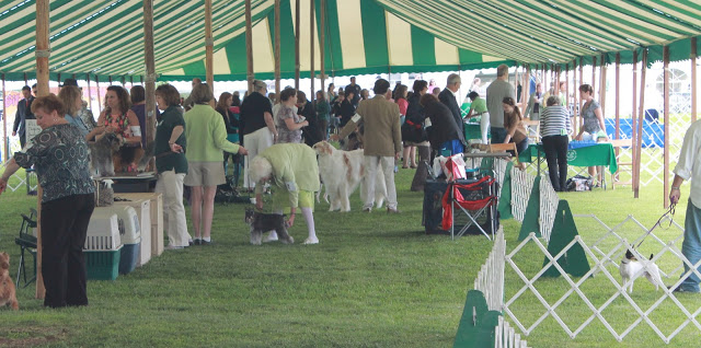 Main Event Tent