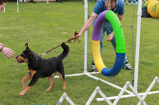 Agility Course