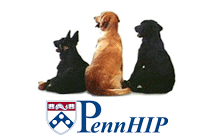 PennHip