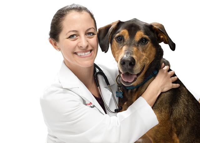 Rachel Wynne with dog