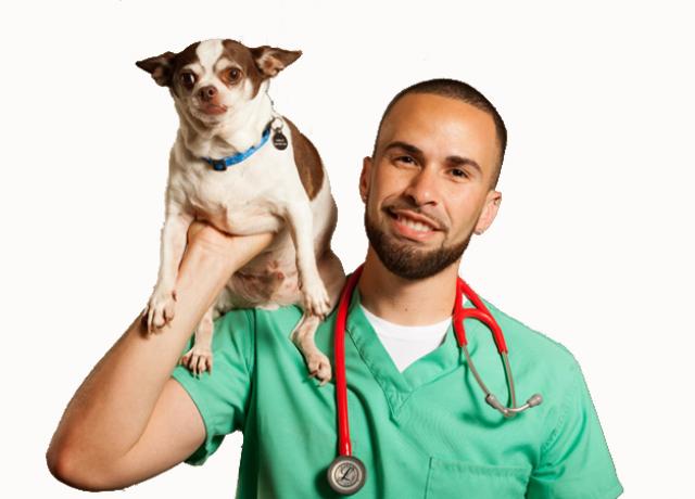 Dr. Anthony Gonzalez Thumbnail