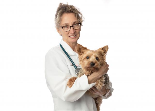 Dr. Sharon Hoffman Thumbnail