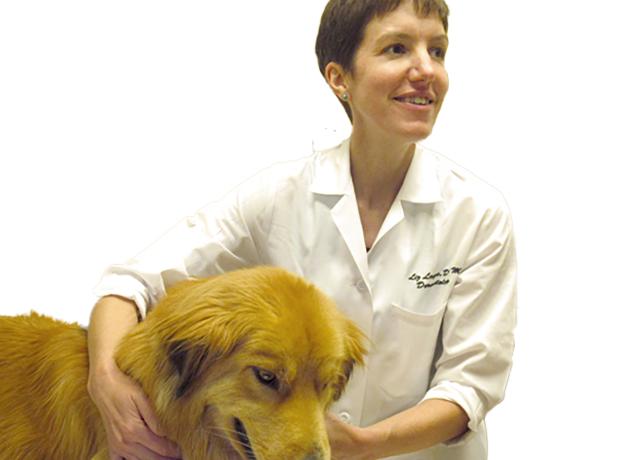 Dr. Elizabeth Layne