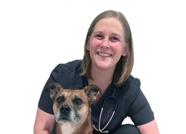 Dr. Laura Geisler