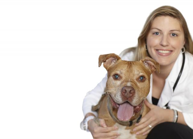 Dr. Lindsay Rigoli