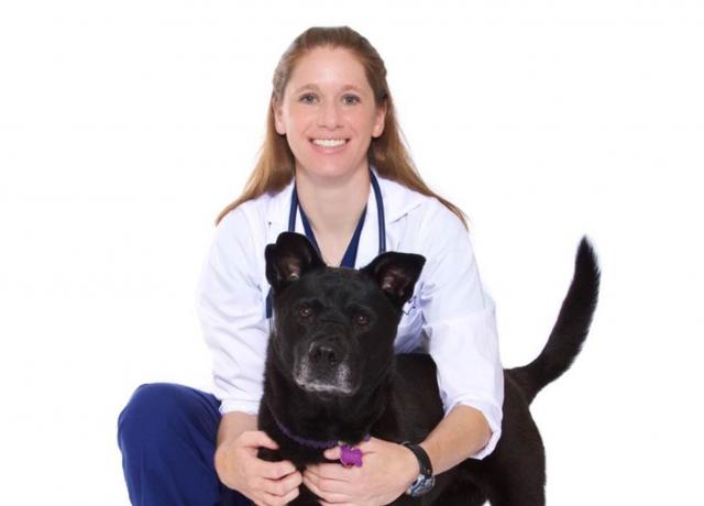 Dr. Katharine Andres