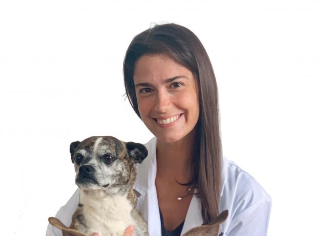 Dr. Kendall Wilson
