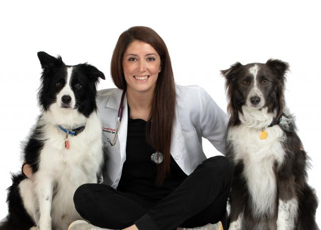 Dr. Mallory Horridge