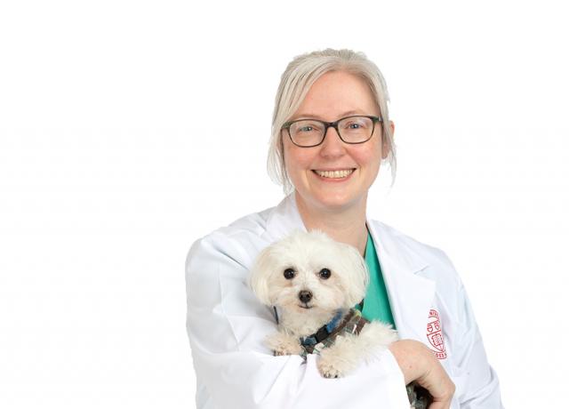 Bridget Lyons | Cornell University Veterinary Specialists | Stamford, CT