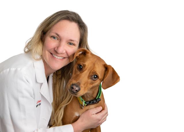 Dr. Lisa Bazzle
