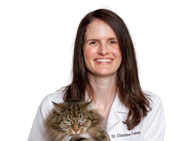 Dr. Christine Fahey