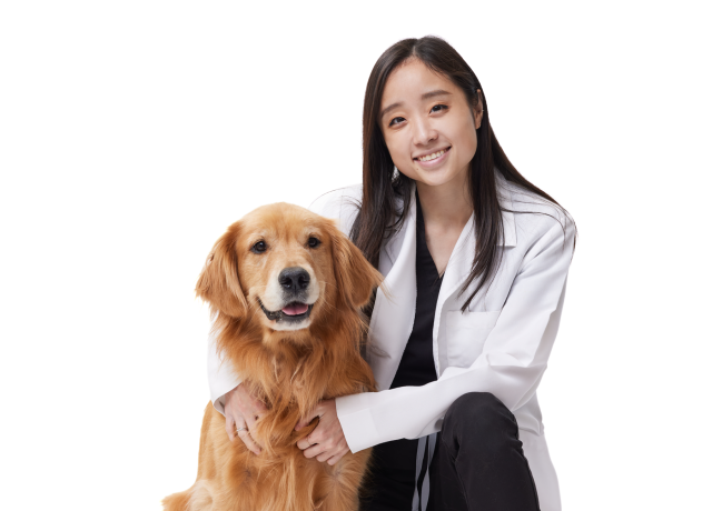 Dr. Aileen Kang
