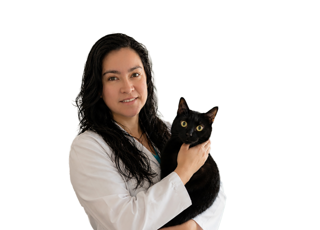 Betzabeth Mercado Hernandez, DVM