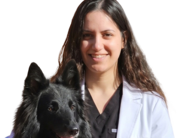 Neesha Paletti, VMD 