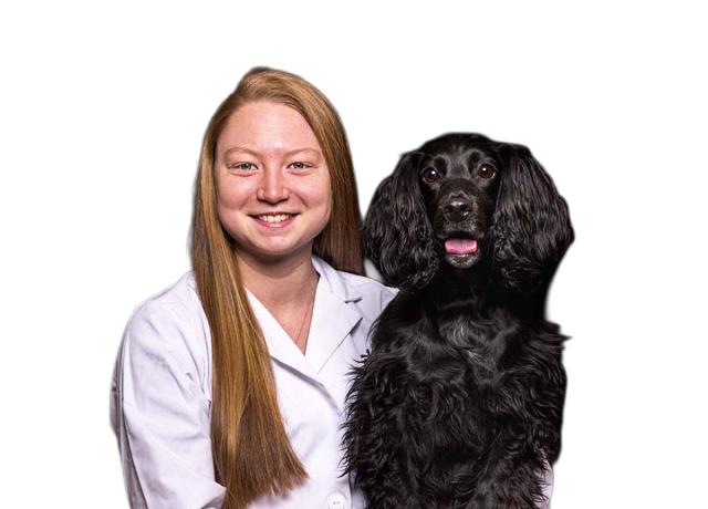 Dr. Kaitlyn Dreese