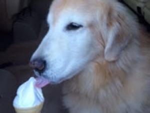 Sammy