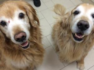 Winslow and Wilbur